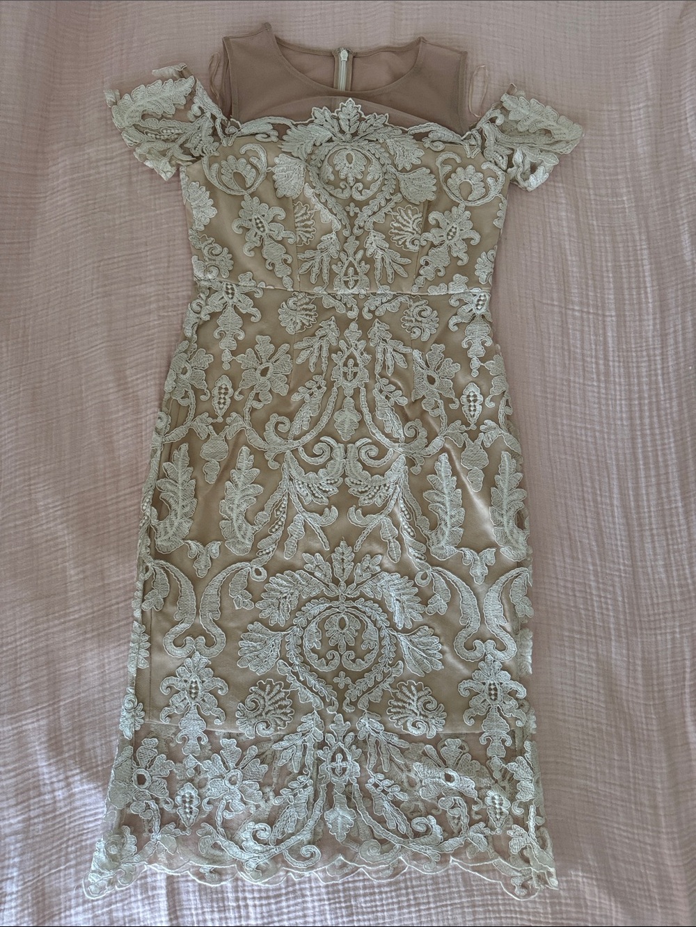 Embroidered Lace Sheath Dress in Nude with Ivory Appliqué